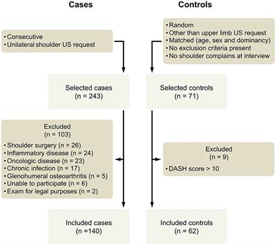 Ultrasound Features Associated With Shoulder Complaints: Calcifications Larger Than 6 mm in Young Patients and Positive Doppler Are Associated With Pain